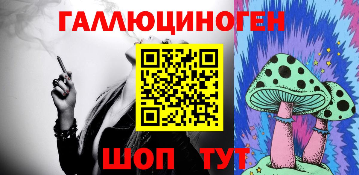 закладка  Вход с VPN  Новороссийск  Псилоцибиновые грибы Psilocybine cubensis 